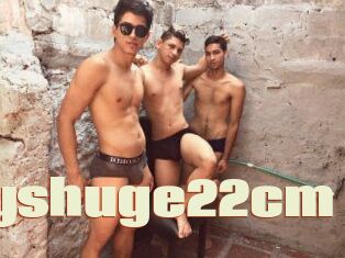 Greatguyshuge22cm