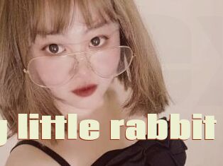 Happy_little_rabbit