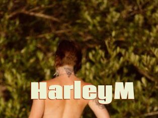 HarleyM