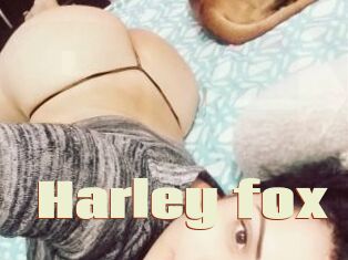 Harley_fox