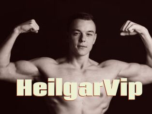 HeilgarVip