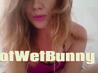 HotWetBunny