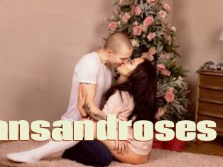 Hansandroses