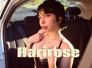 Harirose