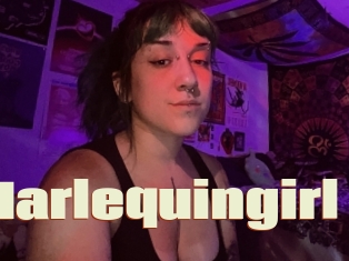 Harlequingirl