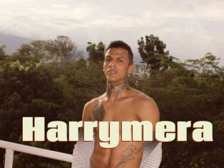 Harrymera