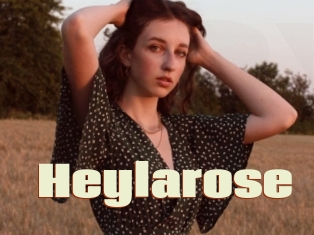 Heylarose