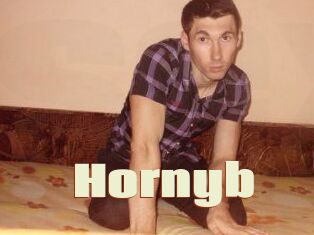 Hornyb