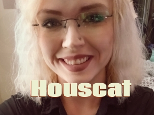 Houscat