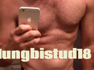 Hungbistud18