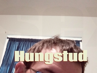 Hungstud