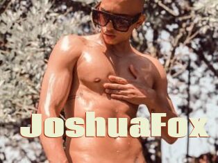 JoshuaFox