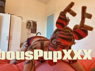 KabousPupXXX