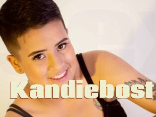 Kandiebost