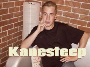 Kanesteep