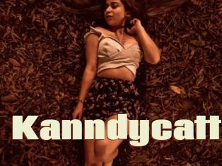 Kanndycatt