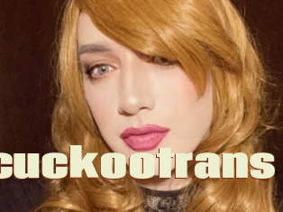 Kelseycuckootrans