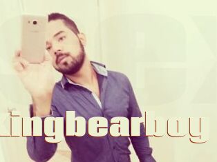 Kingbearboy