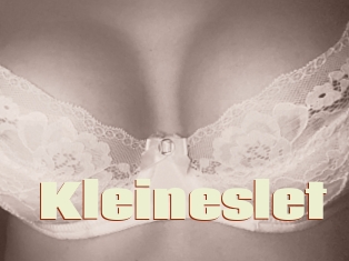 Kleineslet