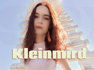 Kleinmird