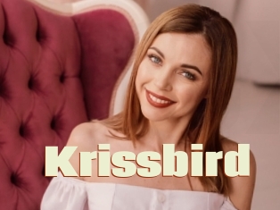 Krissbird