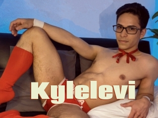 Kylelevi