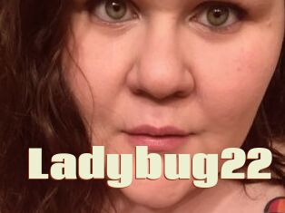 Ladybug22