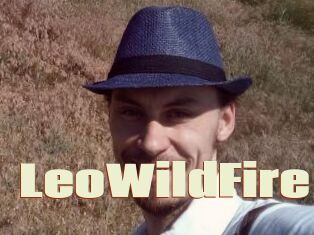 LeoWildFire