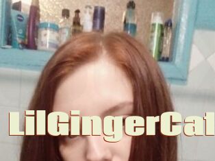 LilGingerCat