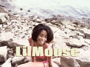 LilMouse