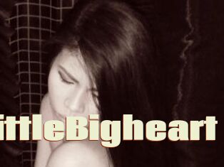 LittleBigheart