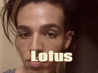 Lotus