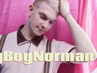 LovelyBoyNorman