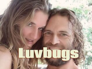 Luvbugs