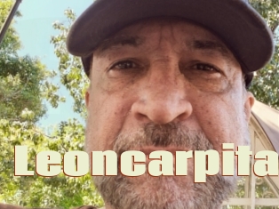 Leoncarpita