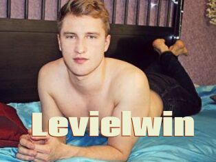 Levielwin