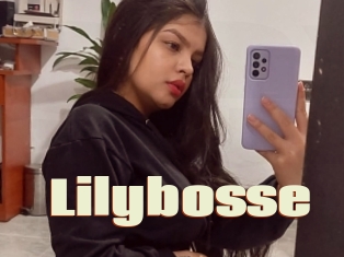 Lilybosse