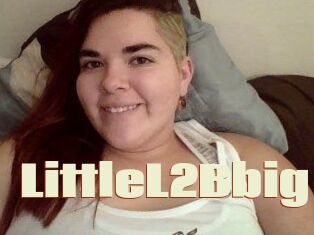 LittleL2Bbig