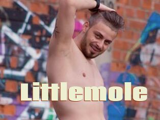 Littlemole