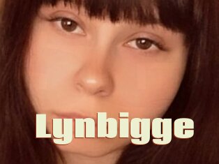 Lynbigge