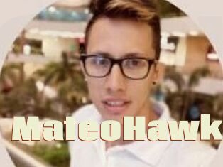 MateoHawk