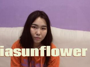 Miasunflower