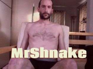 MrShnake