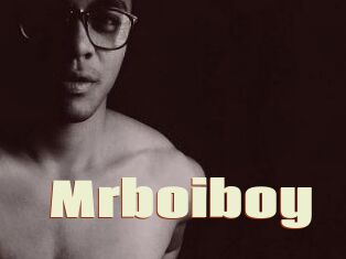 Mrboiboy