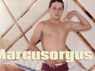 Marcusorgus