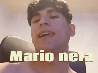 Mario_neta