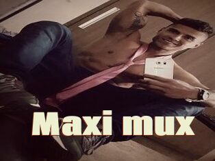 Maxi_mux