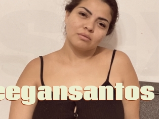 Meegansantos