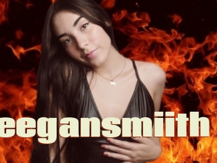 Meegansmiith