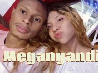 Meganyandi